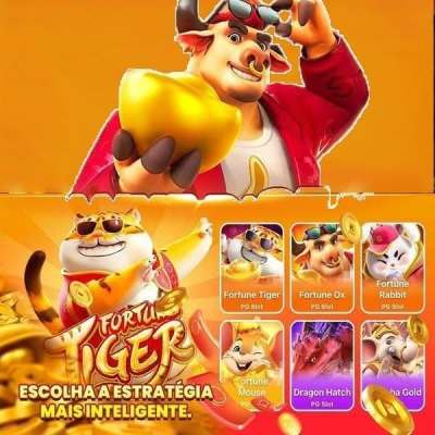 tvbet