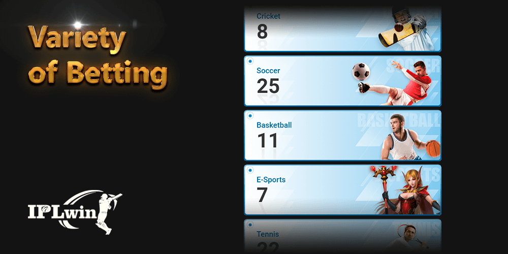 scores24